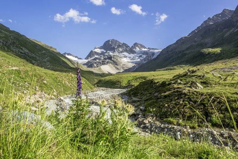 Silvretta mit Piz Buin